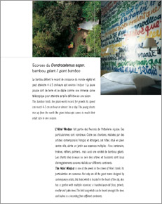 img_presse3